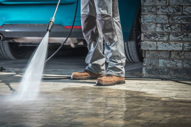 Best Roof Washing  in Lake Alfred, FL