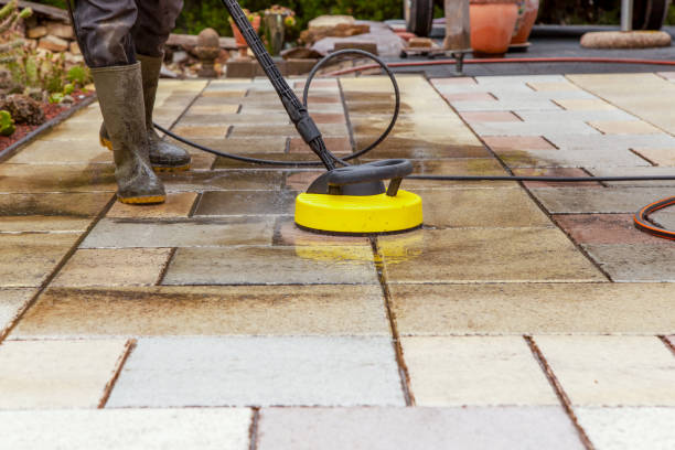 Best Driveway Pressure Washing  in Lake Alfred, FL
